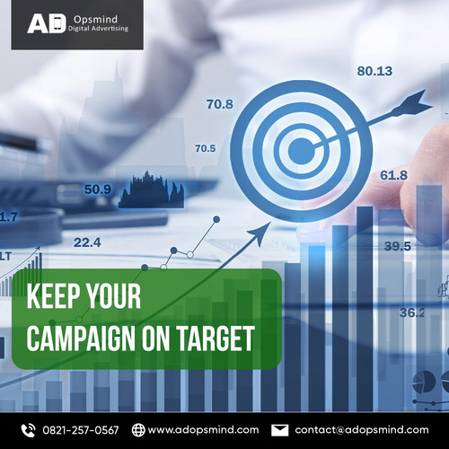 Operational Excellence in Digital Ad Campaigns.jpg