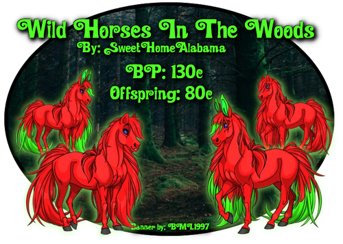 wild horses in the woods