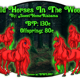 wild horses in the woods