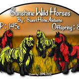 sunshine wild horses