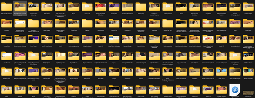 Privatevids One Piece folder preview.png