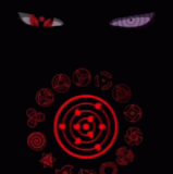 2984bc22b437cd3ef76df7f870b5a272.gif