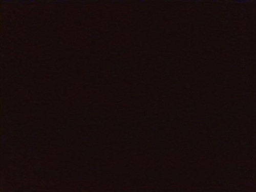 cc4df75192e8.jpg