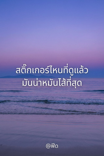b0e36da81419.jpg