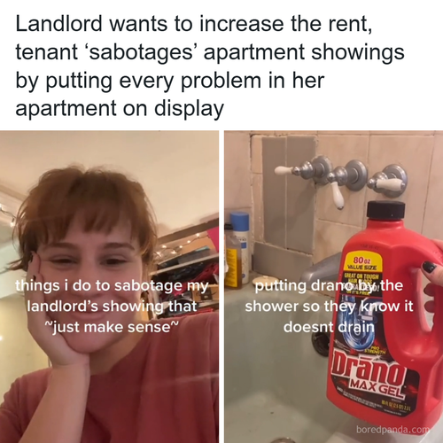 landlord.png