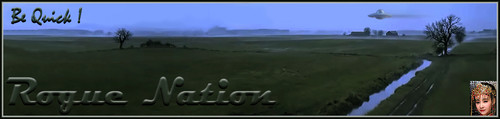 Quick Banner.jpg