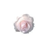 e4c0df1c55460c57b61daac7c68d0b9e