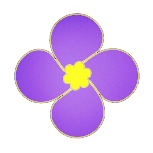 紫金草.png