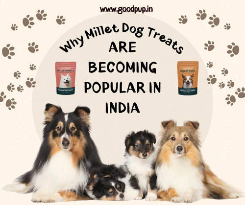 Why Millet Dog Treats Are Becoming Popular in India.png
