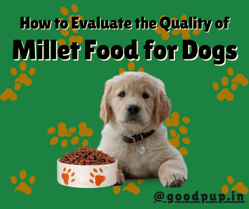How to Evaluate the Quality of Millet Food for Dogs.png