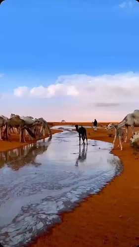 zwzBVti4Riz7Qszy.jpg