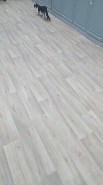 EGSsOWvp e1HUEaH.jpg