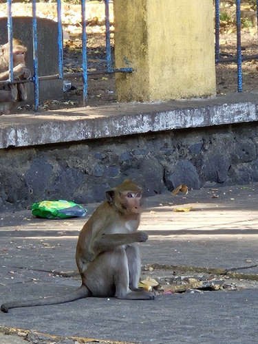 avatar anhthi199x.jpg