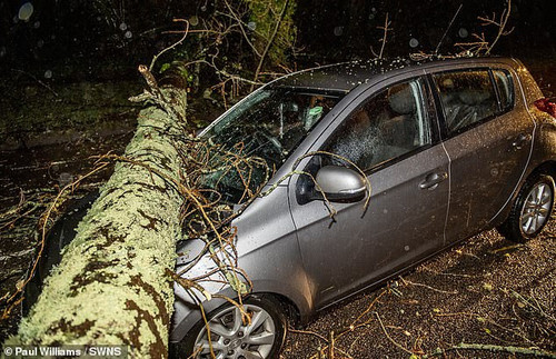 IMG 3960.jpg