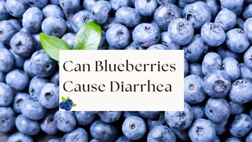 Can Blueberries Cause Diarrhea.png