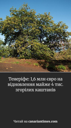 7ef44db3cbf9.png
