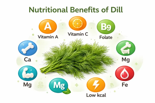 Nutritional Benefits of Dill.png