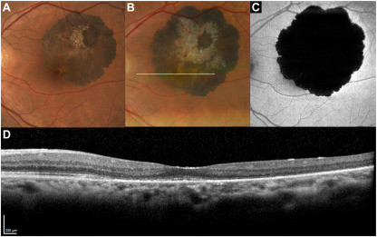 G M2UVwXUAA0pnX.jpg