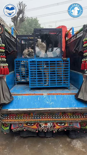 H14yciPhHm2yNB3p.jpg