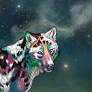 Across The Stars Teal 92x92.png