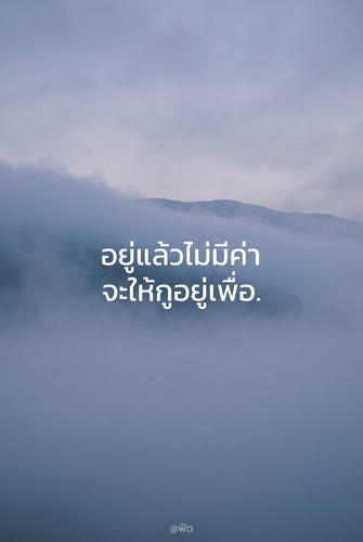c6001c80d687.jpg