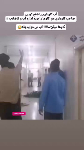 PHQTSOohqWVJ1nYA.jpg