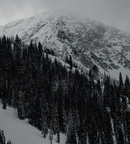 vertical shot spruce trees mountains covered with snow dark sky.jpg