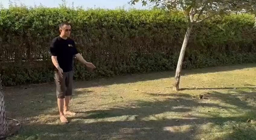 uw5YSvILT9yMA3ev.jpg