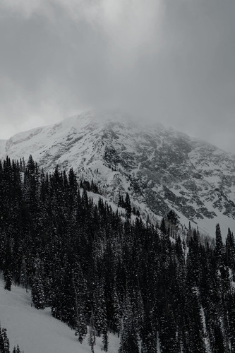 vertical shot spruce trees mountains covered with snow dark sky (2).jpg