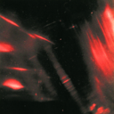 d7f309157fe8.png