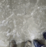work so much work a570X 05.gif