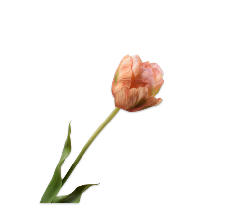 157310.png