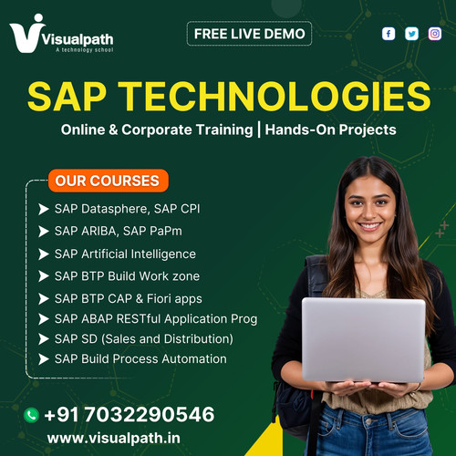 Build a Successful SAP Career with Visualpath Training.jpg