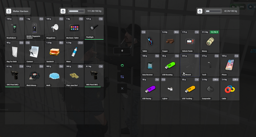 FiveM GTAProcess vXMGT67erV.png