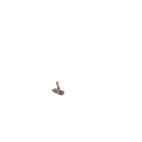charm 2.png