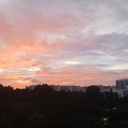 Boytemok.jpg