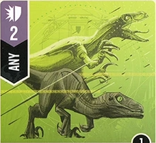 image (18).png