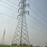 T5