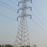 T7