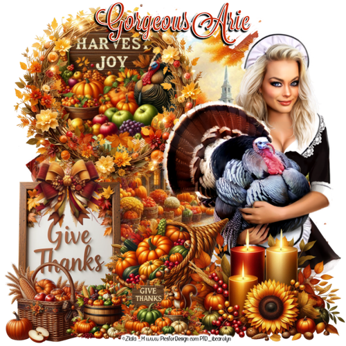 GorgeousArieThanksgiving3MC vi