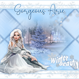 Gorgeous Arie 2025Winter Beauty Misti