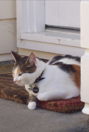 Screenshot 20251018 142252 Photos.jpg