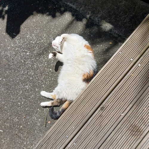 IMG 20240111 125639 012.jpg