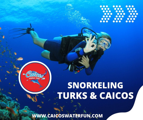 Snorkeling Turks & Caicos | CaicosWaterFun Private Boat Charters.jpg