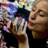 wonderland mimosa studio 79