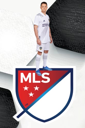 MLSPOSTER.jpg