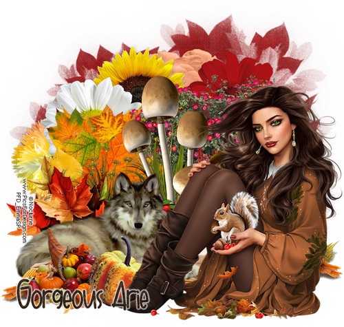 Gorgeous Arie 2025Gathering Noc.png