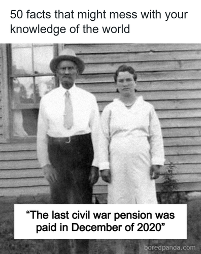 interesting facts (1).png