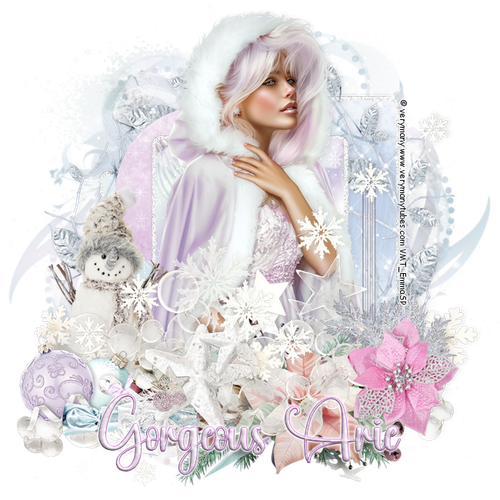 Gorgeous Arie 2025Winter Beauty VM.png