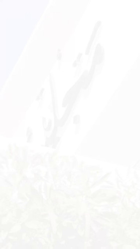 P Sm2dTNusT6G1xe.jpg